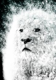 Water Lion