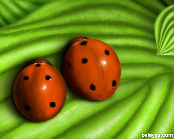 Creation of Ladybugs: Final Result