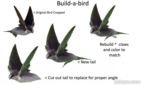 Creation of The Burden: Step 11
