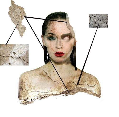 Creation of SPECIES: Step 3