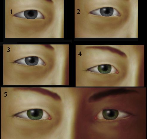Creation of Geisha: Step 8
