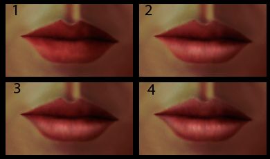 Creation of Geisha: Step 10