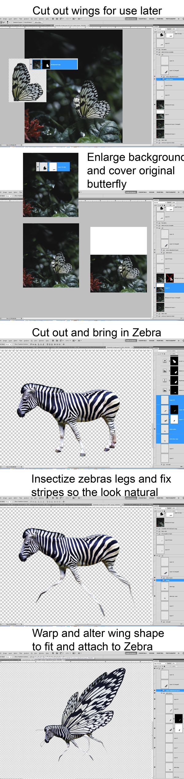 Creation of Zeberflutterby: Step 1