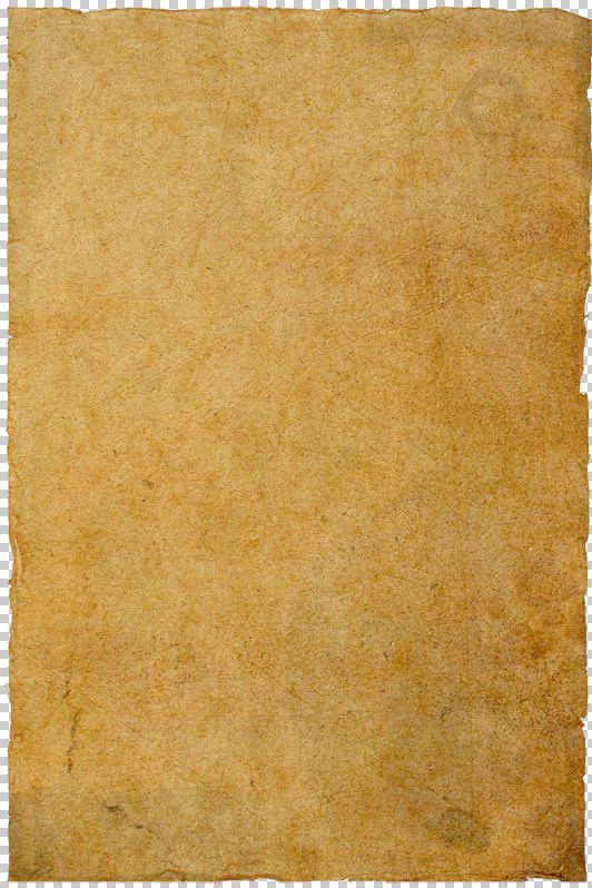 Creation of Digital DaVinci: Step 1