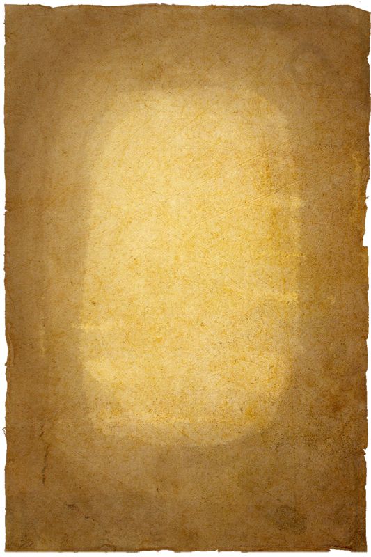 Creation of Digital DaVinci: Step 3