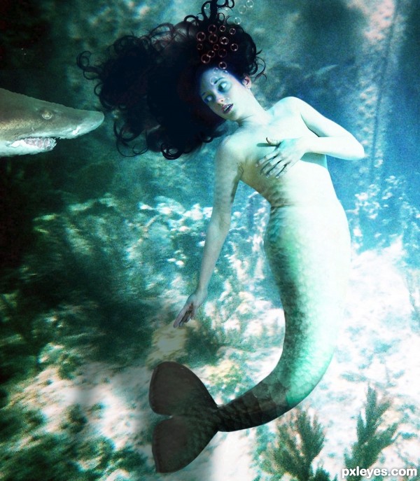Mermaid in Distress