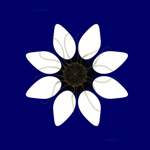 Creation of Stained Glass Flower Redux: Step 2