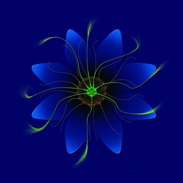 Creation of Stained Glass Flower Redux: Step 4