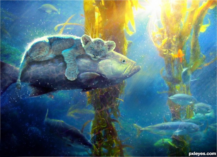 Cat Fish photoshop picture)