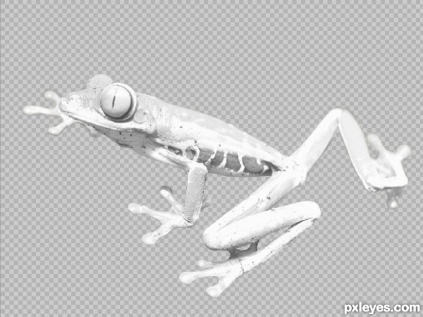 Creation of paint-by-number: Step 3