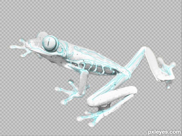 Creation of paint-by-number: Step 4