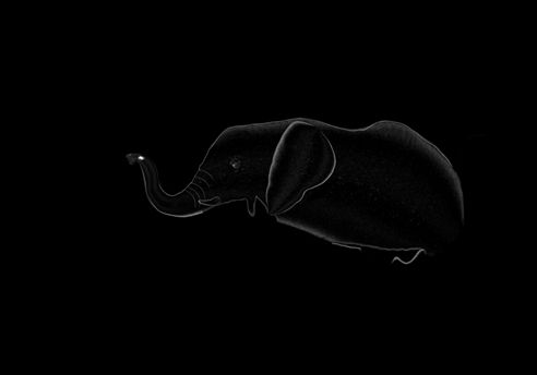 Creation of Elephant: Step 2