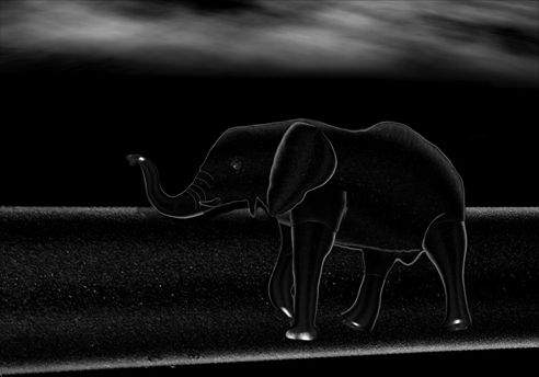 Creation of Elephant: Step 4