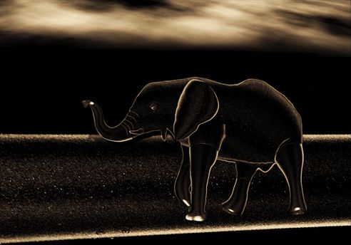 Creation of Elephant: Step 5