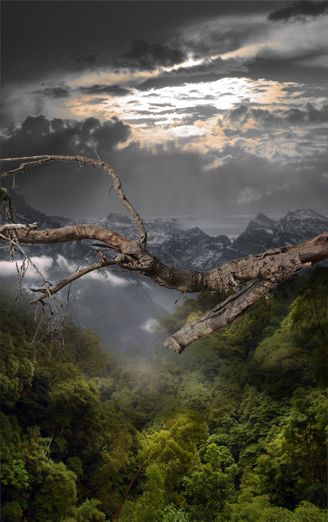 Creation of Daydreaming: Step 3