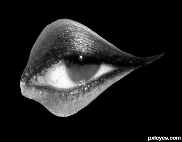 Creation of Eye to Butterfly: Step 3