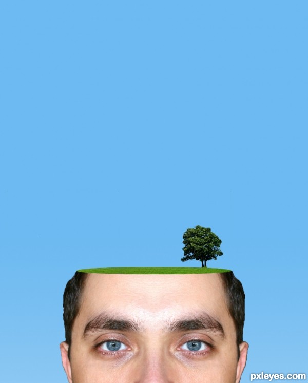Creation of What's on your mind?: Step 2