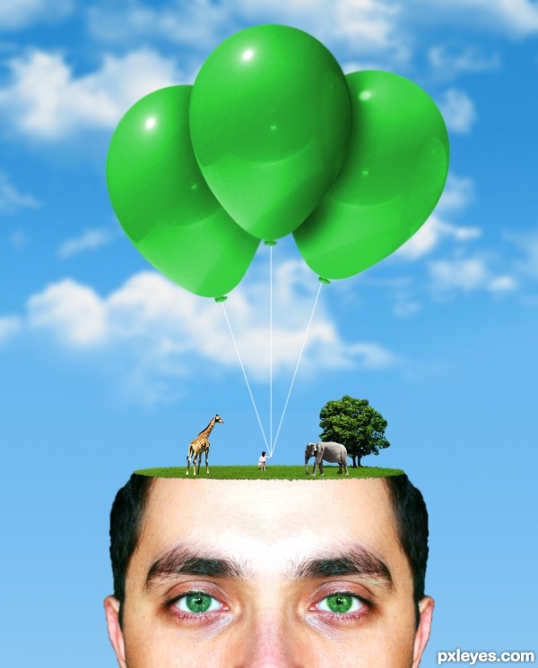 Creation of What's on your mind?: Step 4
