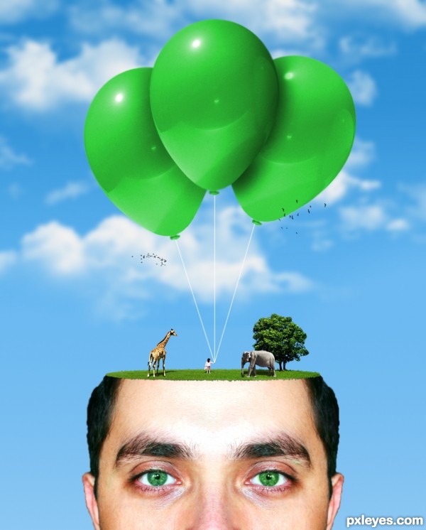 Creation of What's on your mind?: Step 5