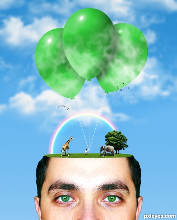 Creation of What's on your mind?: Step 6