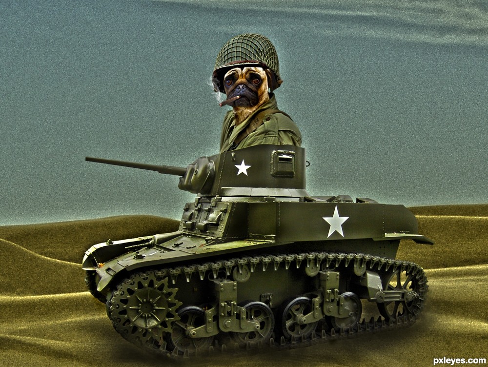Tank-Dog-4f478d945ac11_hires.jpg