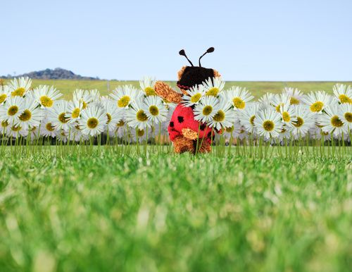 Creation of Tiptoe Through the Daisies: Step 7