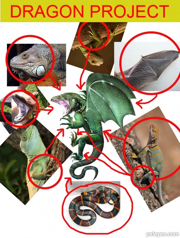 Creation of The Eighth Gateway: Step 6