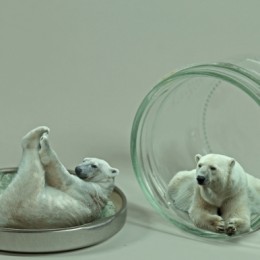 Mini Polar Bears
