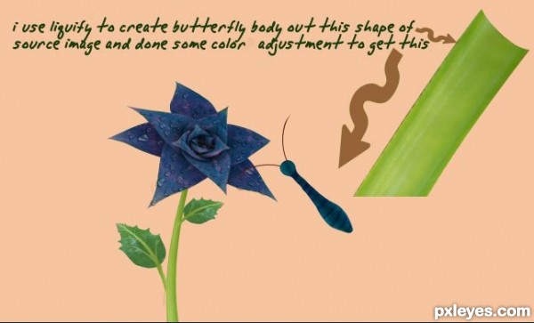 Creation of A Beautiful Day: Step 10