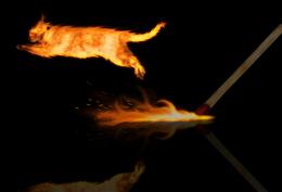 firecat