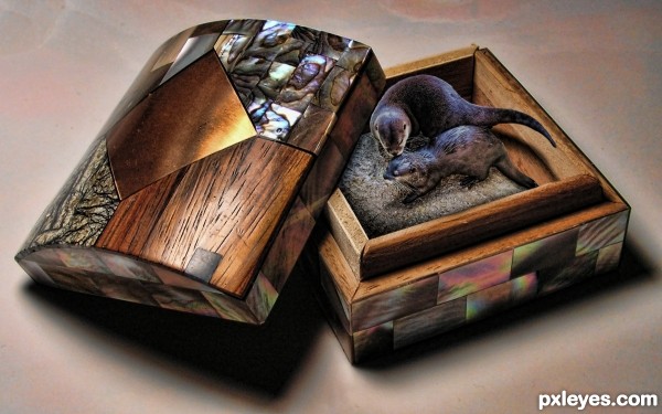 Box of Otter Kisses