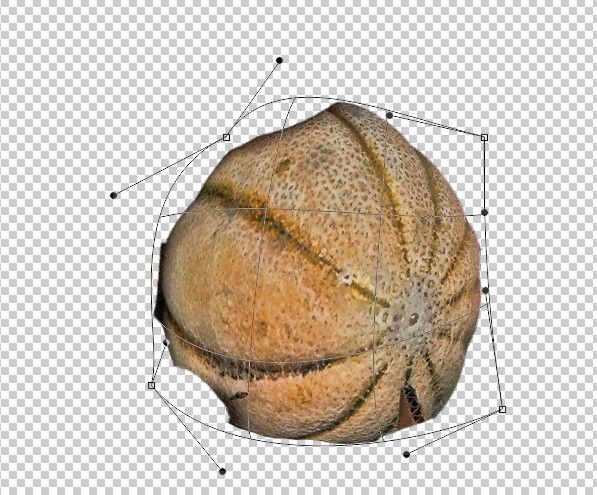 Creation of Cantaloupe Feathers and Orange Eyes: Step 3