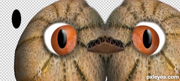 Creation of Cantaloupe Feathers and Orange Eyes: Step 6