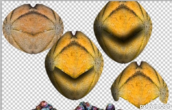 Creation of Cantaloupe Feathers and Orange Eyes: Step 7