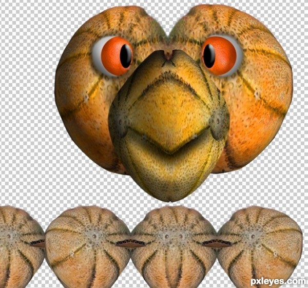 Creation of Cantaloupe Feathers and Orange Eyes: Step 8