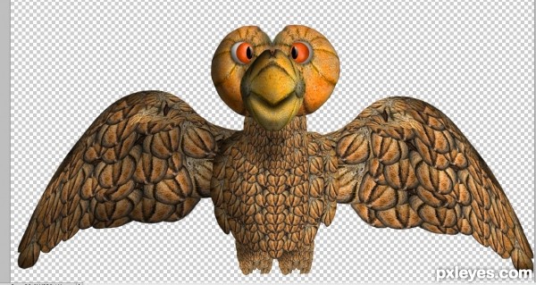 Creation of Cantaloupe Feathers and Orange Eyes: Step 11
