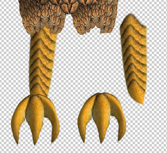 Creation of Cantaloupe Feathers and Orange Eyes: Step 13