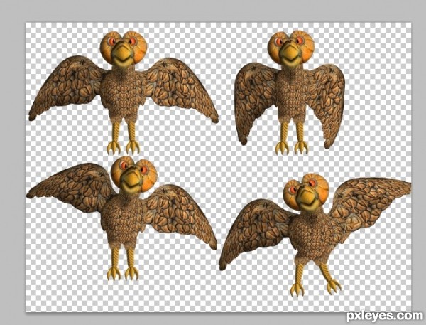 Creation of Cantaloupe Feathers and Orange Eyes: Step 14