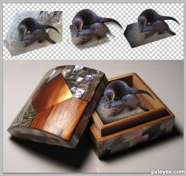 Creation of Box of Otter Kisses: Step 3
