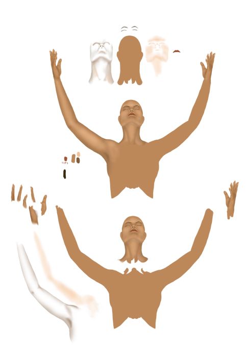 Creation of The Phoenix Rises: Step 1