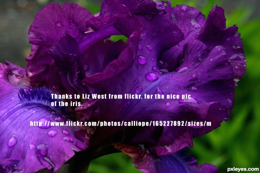 Creation of Digital Iris: Step 7