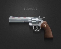 Python 357 Magnum
