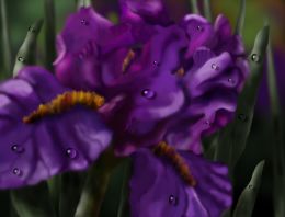 Digital Iris