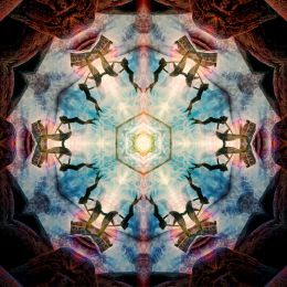 ODolfinDance