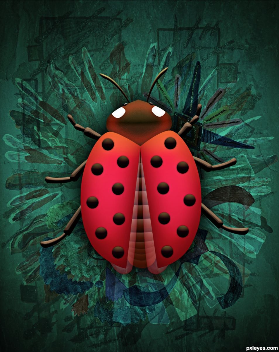 Ladybird