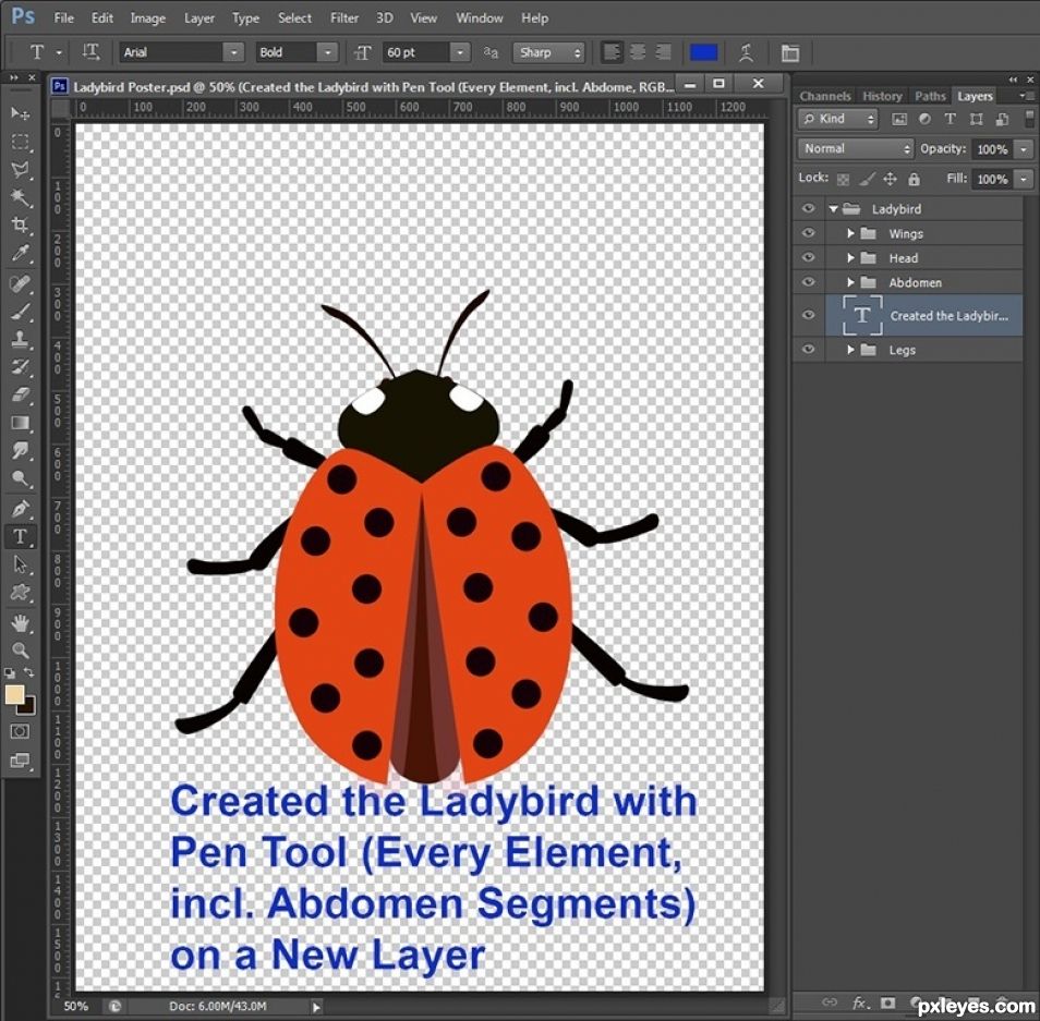 Creation of Ladybird: Step 1