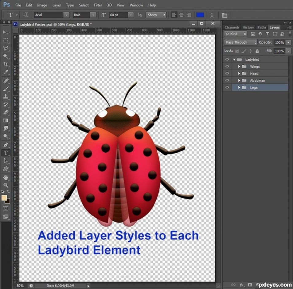 Creation of Ladybird: Step 2