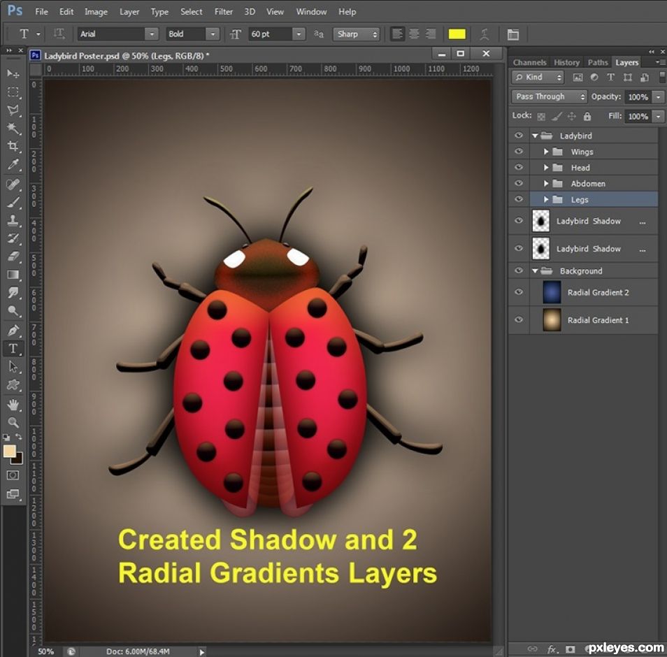 Creation of Ladybird: Step 3