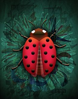 Ladybird