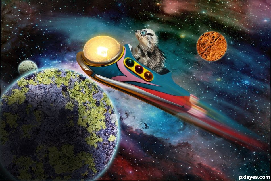 Space Dog